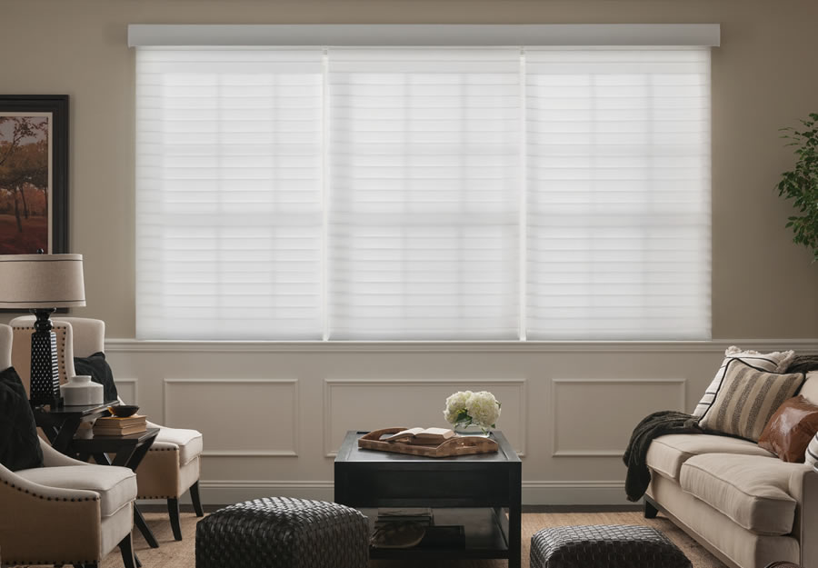 Lutron Horizontal Sheer Blinds