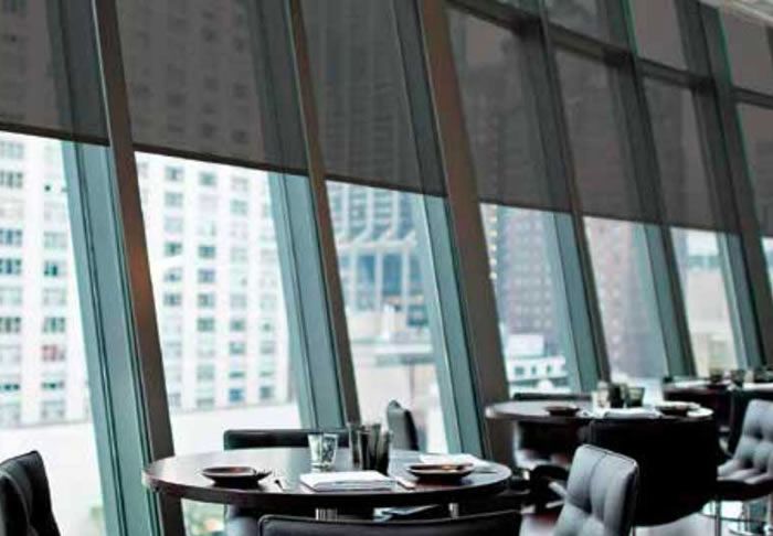 Lutron Cable Guided Shades